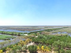 -南大港湿地风景区
