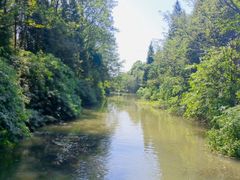 -桤木河湿地公园