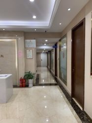 -碧莲盛·不剃发植发