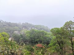 -东莞观音山旅游风景区