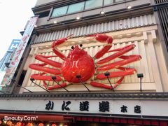 -蟹道乐(道顿堀本店)