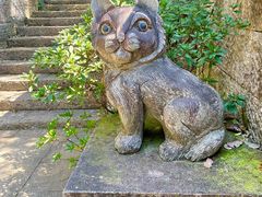 -杭州半山国家森林公园