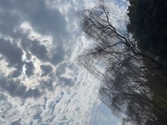 -橘子洲景区