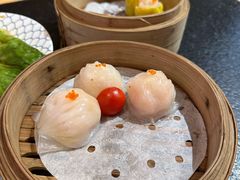 -蚝喜粤·广州味·茶楼点心(长隆店)