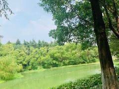 -昆山城市生态森林公园