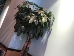-爱妻鱼•老体北重庆水煮鱼•川菜(白云路店)