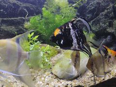 -上海海洋水族馆