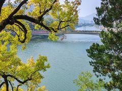 -蒋氏故居