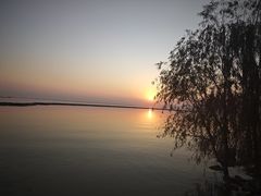 -合肥滨湖国家森林公园