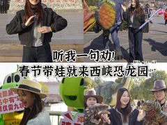-中国西峡恐龙遗迹园