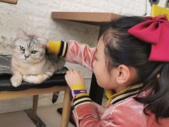 -平行世界·猫咖(首经贸店)