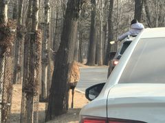 -秦皇岛野生动物园