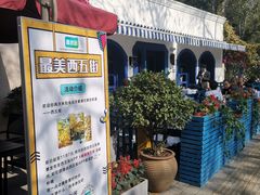 -三里屯东五街银杏大道