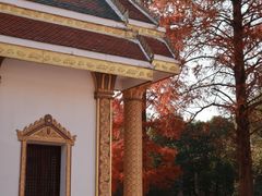 -报恩禅寺