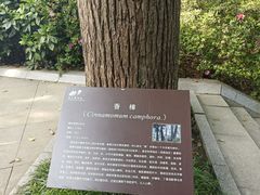 -南山植物园