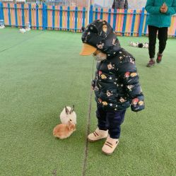 -萌宠亲子动物乐园(槐房万达店)