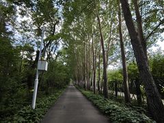 -黑龙江省森林植物园