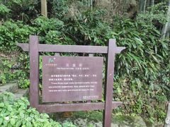 -山沟沟景区