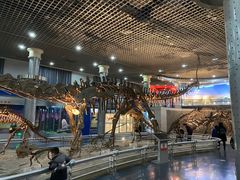 -国家自然博物馆