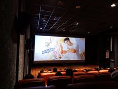-华美国际影城(旧宫永辉店)