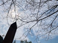 -贡湖湾湿地公园