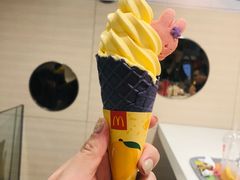 -麦当劳(花园北路店)