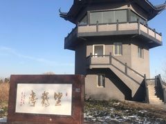 -盐城丹顶鹤湿地生态旅游区