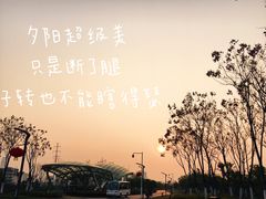 -松山湖南湖湾露营营地