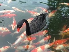 -湖鲜楼