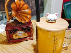 -猫色咖啡·猫咖