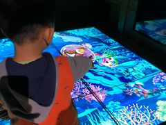 -中国宋庆龄青少年科技文化交流中心