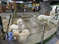 -上海大自然野生昆虫馆(东方明珠·爬宠昆虫探索中心)