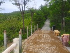 -五龙城郊森林公园