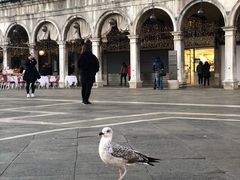 -圣马尔谷圣殿宗主教座堂