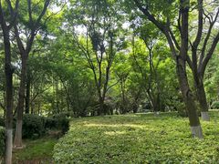 -洛龙公园