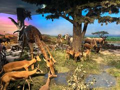 -国家自然博物馆