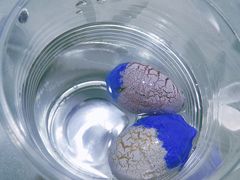 -斯坦星球AI编程·机器人科创·科学实验·信奥·思维·STEM·积木拼搭·竞赛考级(浦东联洋广场大拇指龙阳御桥中心)