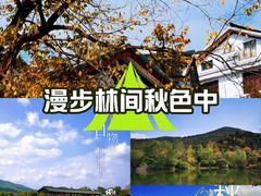 -石塘人家