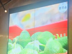 -野萃山·潮汕厚果汁(十亩地店)