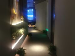 -康道天地(达邦协作广场店)