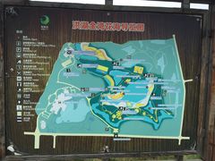 -洪湖湿地生态园