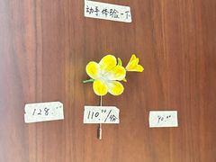 -南京市民俗博物馆(甘熙宅第)