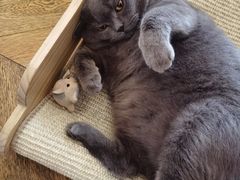 -Me Coffee下午茶艺术空间