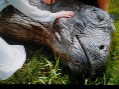 凯狮国际影城-佳兆业国际影城(鞍山店)