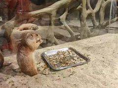 -绿色星球动物主题公园