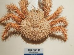 -浙江自然博物院(杭州馆)