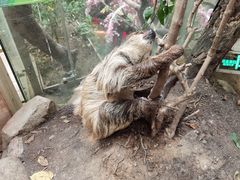 -正佳雨林生态植物园