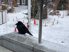 -北海道神宫