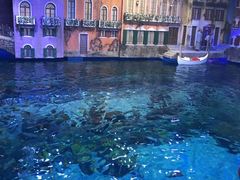 -华夏文旅海洋公园