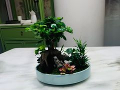 -御仙都北京菜馆·烤鸭店(双井店)